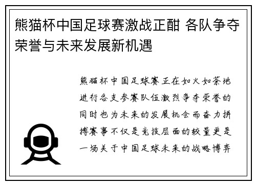 熊猫杯中国足球赛激战正酣 各队争夺荣誉与未来发展新机遇